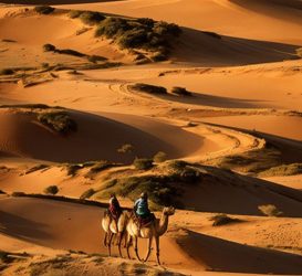 Excursiones Dubai