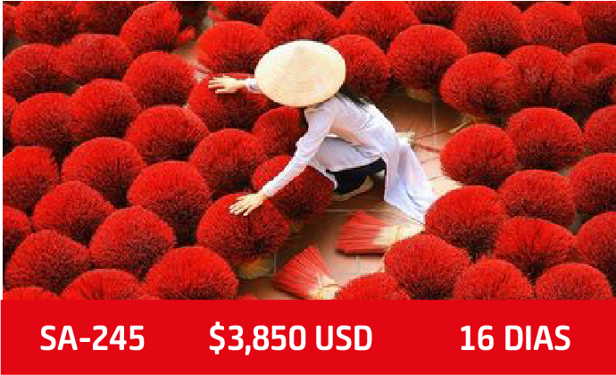 Japón y Tailandia